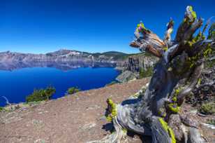 Crater Lake-9783.jpg Crater Lake-9783.jpg